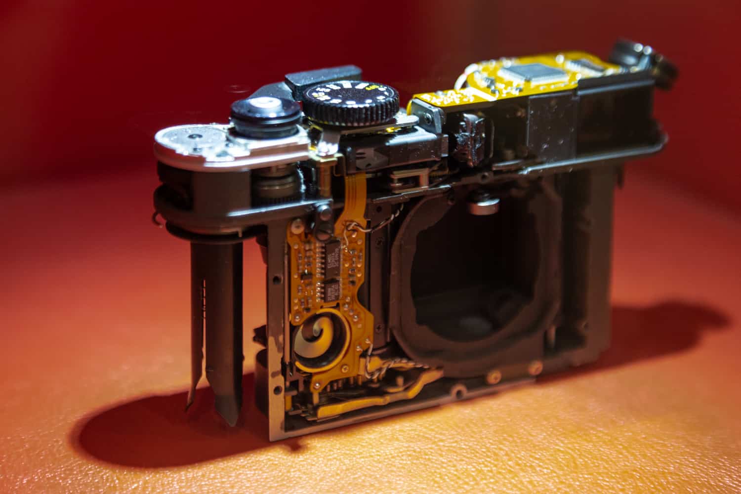 Andrea Pacella, Leica corpo macchina